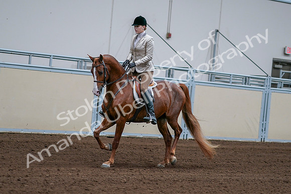 2020 - AB Morgan Horse - Fri, Sept 04 - 01628