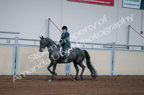 2020 - AB Morgan Horse - Fri, Sept 04 - 01565