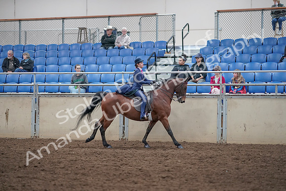 2019 Morgan Horse Show - Aug 31, 2019 - 09682