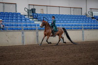 2019 Morgan Horse Show - Sept 01, 2019 - 13152
