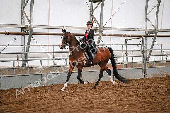 July 19, 2019 - 8717