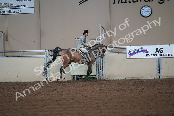 2019 Morgan Horse Show - Aug 30, 2019 - 17614