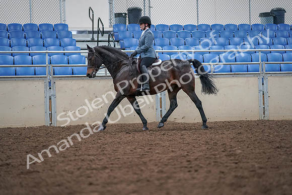 2019 Morgan Horse Show - Aug 30, 2019 - 18414