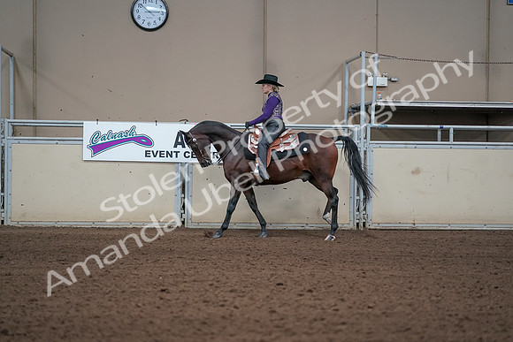 2019 Morgan Horse Show - Aug 31, 2019 - 10596