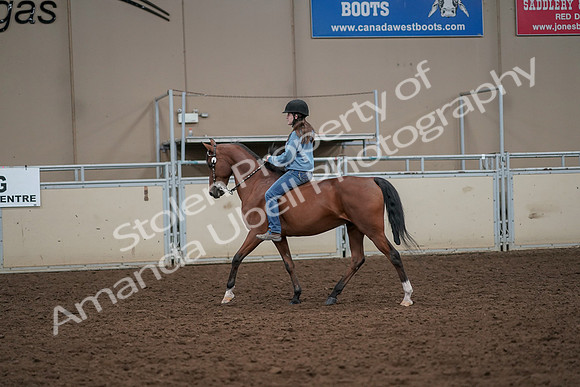 2019 Morgan Horse Show - Aug 30, 2019 - 31180