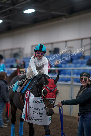 2019 Morgan Horse Show - Aug 31, 2019 - 10167