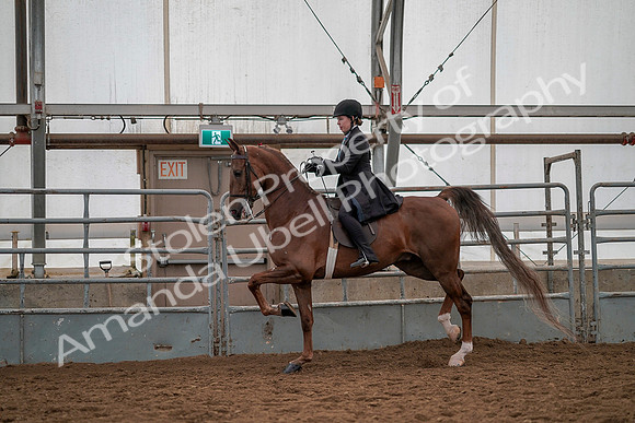 July 19, 2019 - 13176