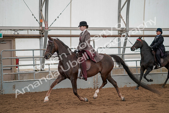 July 20, 2019 - 04341