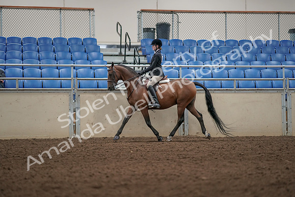 2019 Morgan Horse Show - Aug 31, 2019 - 04969