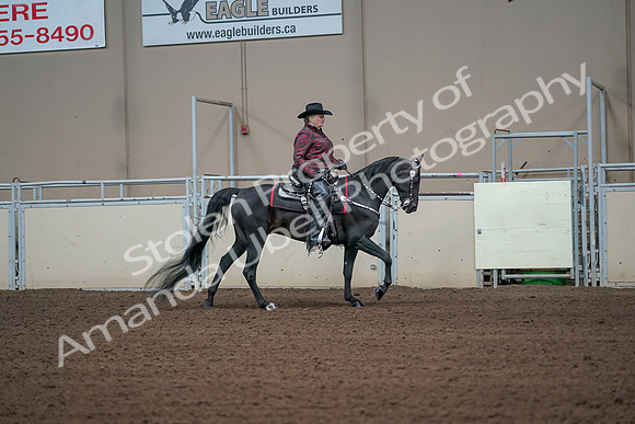 2019 Morgan Horse Show - Aug 31, 2019 - 10720