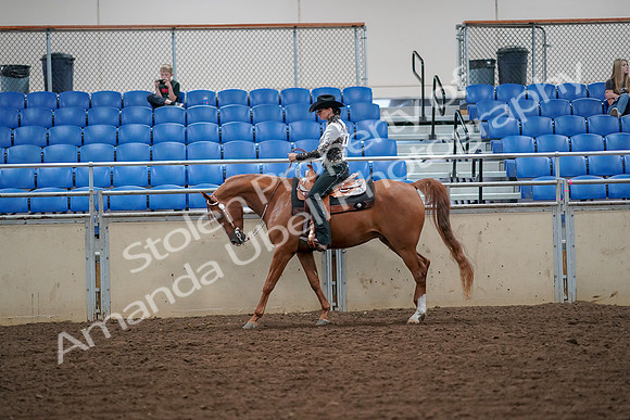 2019 Morgan Horse Show - Aug 30, 2019 - 16851
