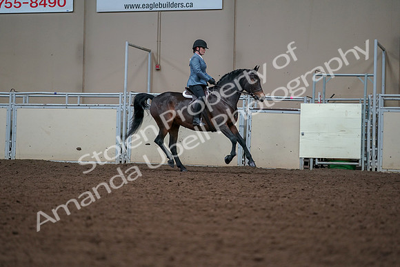 2019 Morgan Horse Show - Aug 30, 2019 - 18592