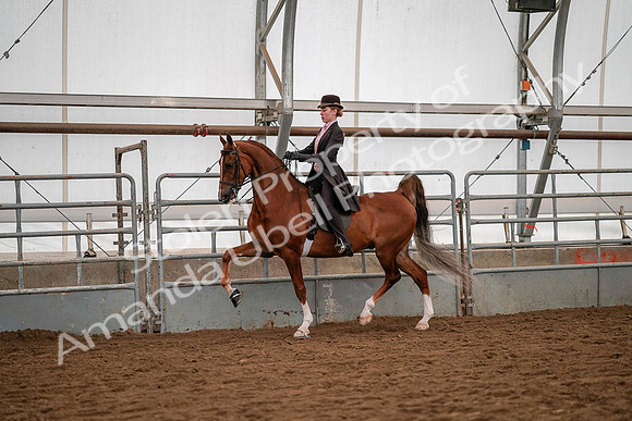 July 19, 2019 - 10328