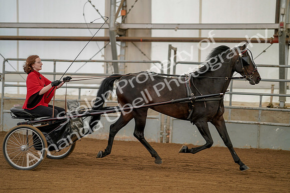July 20, 2019 - 00247