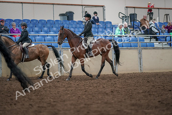 2019 Morgan Horse Show - Aug 30, 2019 - 20448