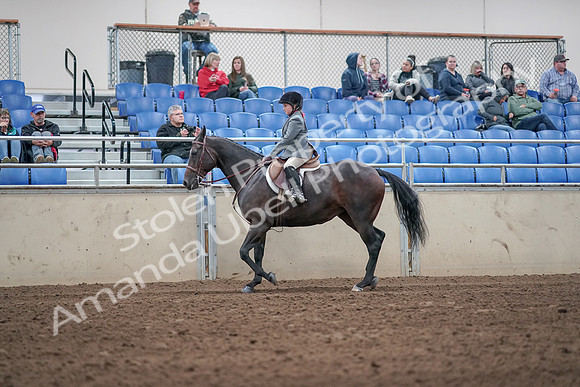 2019 Morgan Horse Show - Aug 31, 2019 - 19448