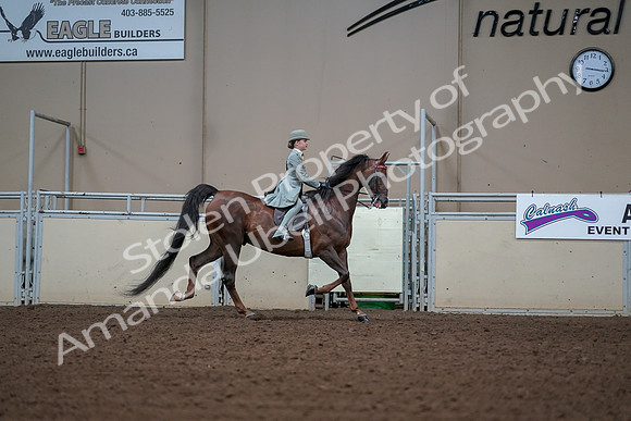 2019 Morgan Horse Show - Aug 30, 2019 - 17934
