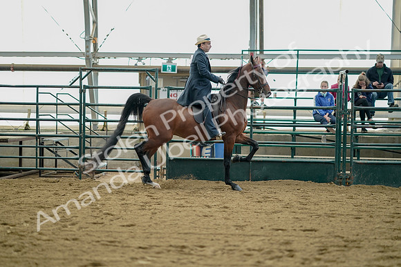 July 21, 2019 - 01736