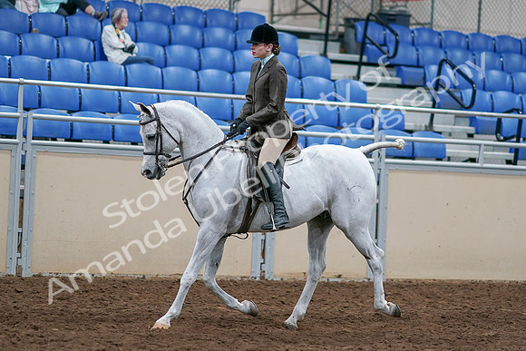 2020 - AB Morgan Horse - Sat, Sept 05 - 14245