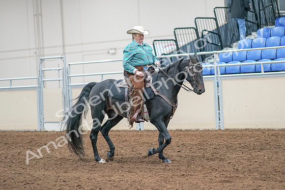 2020 - AB Morgan Horse - Sun, Sept 06 - 01622