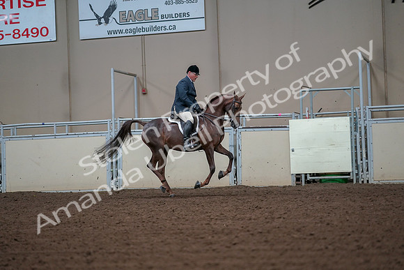 2019 Morgan Horse Show - Aug 30, 2019 - 17527