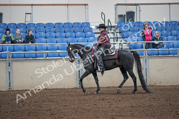 2019 Morgan Horse Show - Aug 31, 2019 - 10568