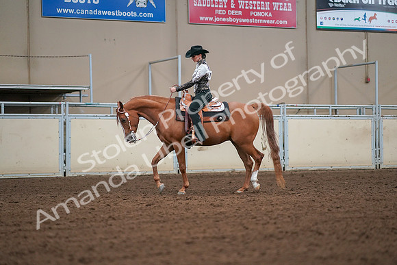 2019 Morgan Horse Show - Aug 30, 2019 - 16775
