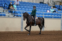 2020 - AB Morgan Horse - Fri, Sept 04 - 03941