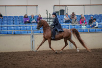 2019 Morgan Horse Show - Aug 30, 2019 - 26775