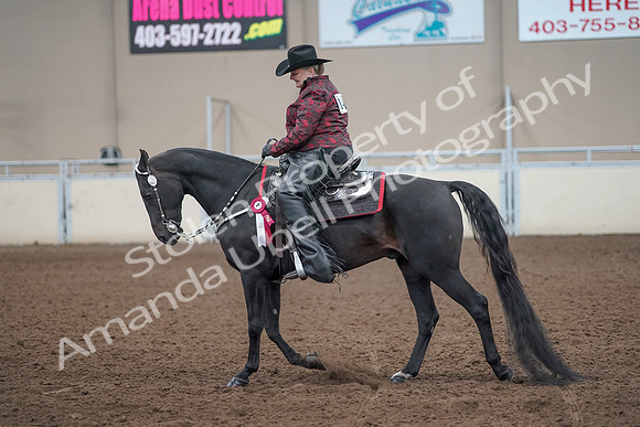 2019 Morgan Horse Show - Aug 31, 2019 - 10823