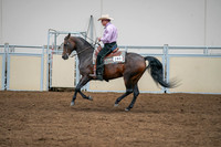 2020 - AB Morgan Horse - Sat, Sept 05 - 05662