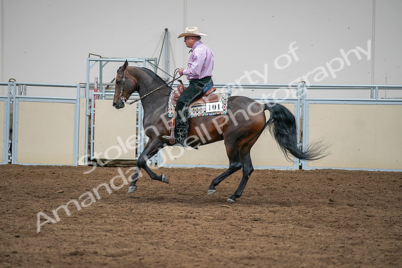 2020 - AB Morgan Horse - Sat, Sept 05 - 05662