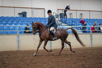 2019 Morgan Horse Show - Aug 30, 2019 - 17243
