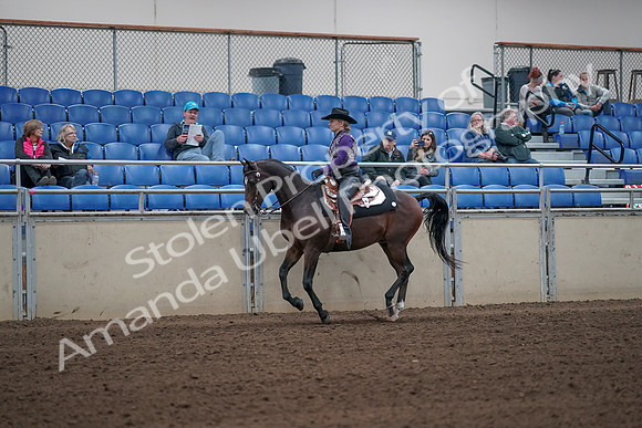 2019 Morgan Horse Show - Aug 31, 2019 - 10623
