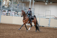 2020 - AB Morgan Horse - Sat, Sept 05 - 12901