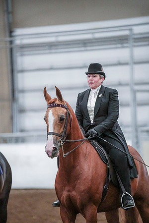 Spring Fling - Saturday - April 20, 2019  -  00836