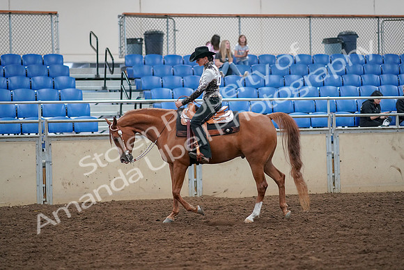 2019 Morgan Horse Show - Aug 30, 2019 - 16725
