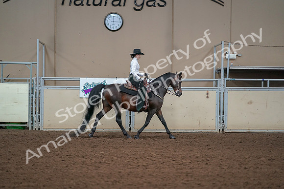 2019 Morgan Horse Show - Aug 30, 2019 - 17009