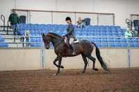 2019 Morgan Horse Show - Aug 30, 2019 - 13886
