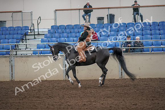 2019 Morgan Horse Show - Aug 31, 2019 - 06088