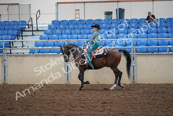 2019 Morgan Horse Show - Aug 30, 2019 - 16720