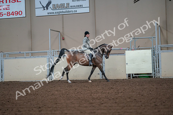 2019 Morgan Horse Show - Aug 30, 2019 - 17511