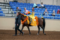 2020 - AB Morgan Horse - Sat, Sept 05 - 05771