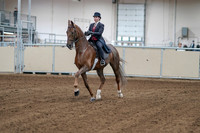 2020 - AB Morgan Horse - Sat, Sept 05 - 06034