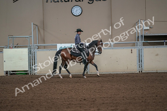 2019 Morgan Horse Show - Aug 31, 2019 - 06180