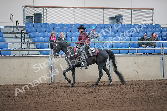 2019 Morgan Horse Show - Aug 31, 2019 - 10642