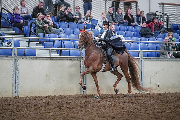 Spring Fling - Saturday - April 20, 2019  -  04366