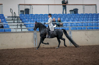 2019 Morgan Horse Show - Aug 31, 2019 - 09229