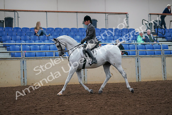 2019 Morgan Horse Show - Aug 30, 2019 - 17271