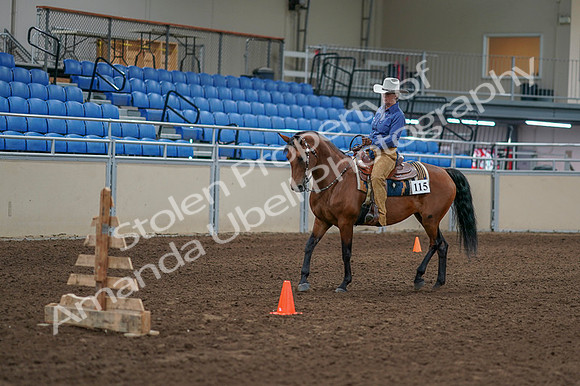 2020 - AB Morgan Horse - Fri, Sept 04 - 00176